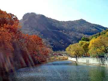 新澳天天开奖资料大全旅游团，纵横论坛